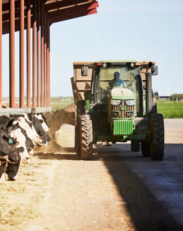 tractor by a group of cows