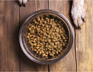 applications-types-pet-food-and-supplements