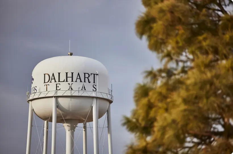 a water tower dalhart written on it next to a tree