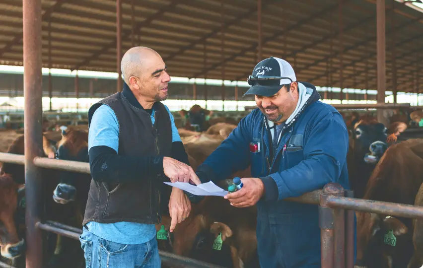 dairyfarms-milk-story-dairy-animal-care