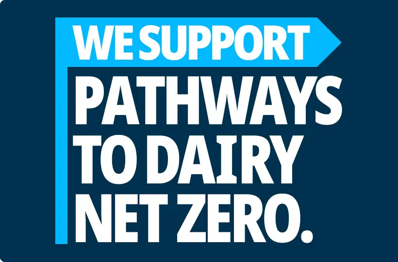sustainablity-supporting-net-zero-initiative