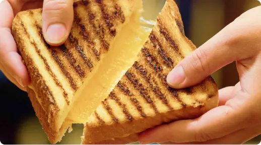 hands holding a grilled cheese sandwich