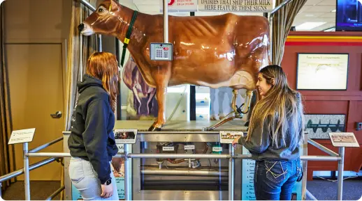 two people talking next to a statue of a cow