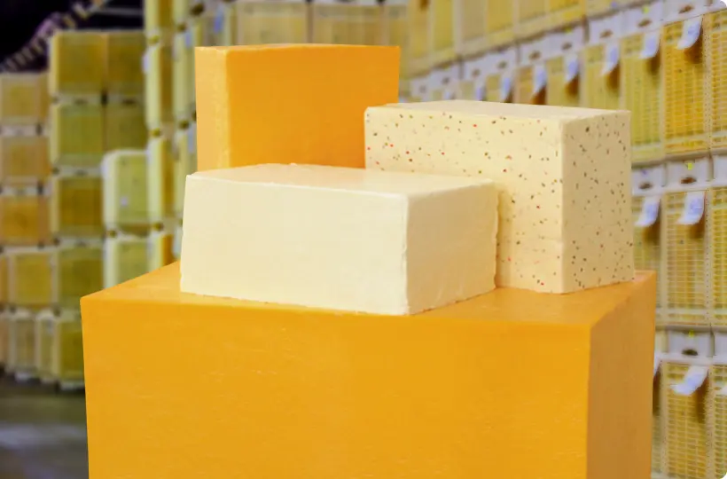 Cheese Products: Quality, Scalability & Flexibility | Hilmar