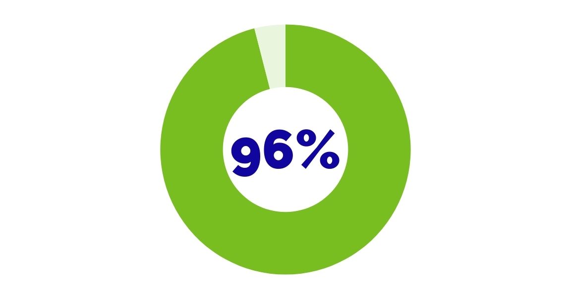 Pie chart showing 96%