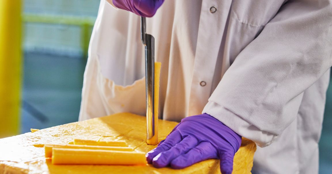 image-whey-portein-guide-article-cheese